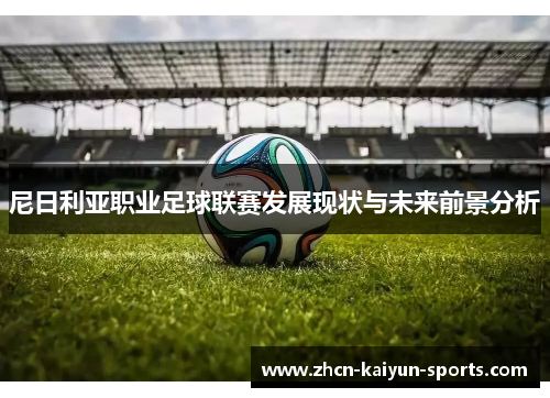 尼日利亚职业足球联赛发展现状与未来前景分析