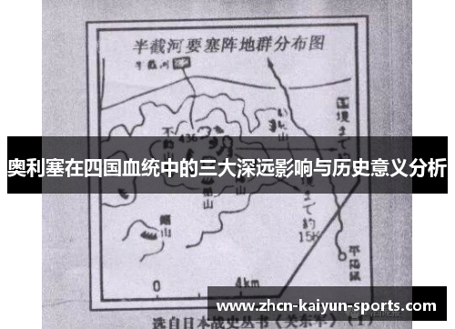 奥利塞在四国血统中的三大深远影响与历史意义分析