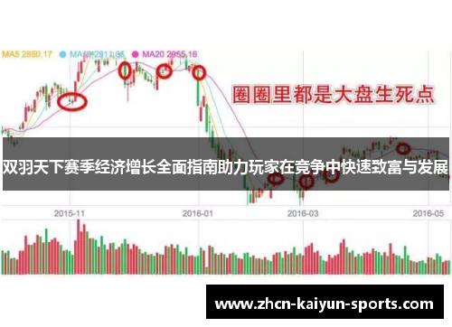 双羽天下赛季经济增长全面指南助力玩家在竞争中快速致富与发展