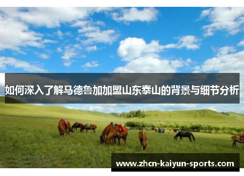 如何深入了解马德鲁加加盟山东泰山的背景与细节分析