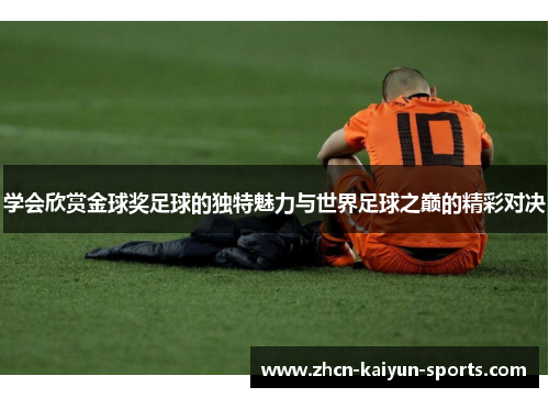 学会欣赏金球奖足球的独特魅力与世界足球之巅的精彩对决