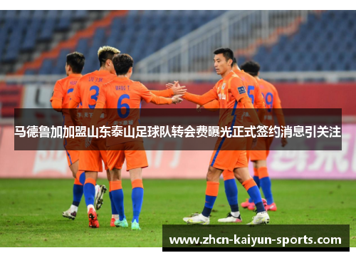 马德鲁加加盟山东泰山足球队转会费曝光正式签约消息引关注 马德鲁加加盟山东泰山足球队转会费曝光正式签约消息引关注